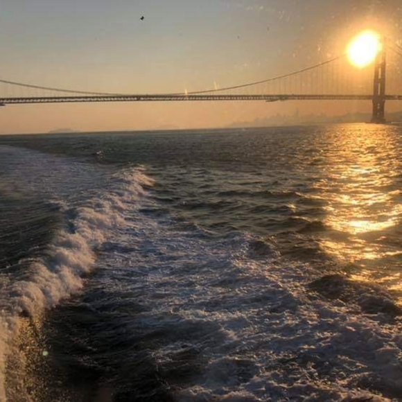 Meet your Posher, Peggy - Picture 1 of 1